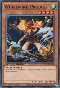 Whirlwind Prodigy #SGX2-END14