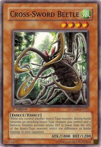 Cross-Sword Beetle #CRMS-EN035