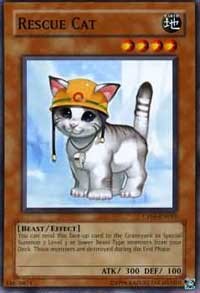 Rescue Cat #CP05-EN015
