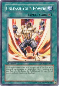Unleash Your Power! #SDWS-EN031
