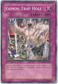 Gemini Trap Hole #SDWS-EN038