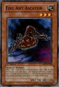 Fire Ant Ascator #ABPF-EN020