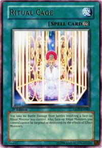 Ritual Cage #ABPF-EN060