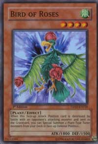 Bird of Roses #TSHD-EN018