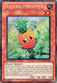 Naturia Pineapple #DREV-EN082