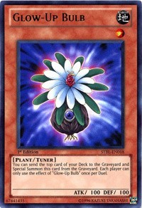 Glow-Up Bulb #STBL-EN018