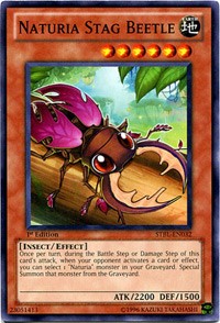 Naturia Stag Beetle #STBL-EN032