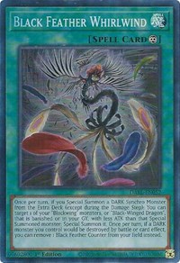 Black Feather Whirlwind #DABL-EN052