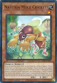 Naturia Mole Cricket #DABL-EN020