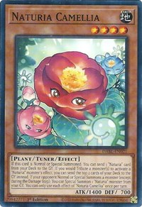Naturia Camellia #DABL-EN021