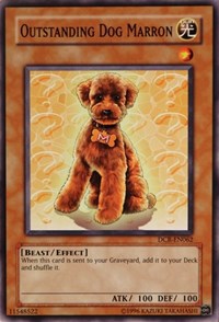 Outstanding Dog Marron #DCR-EN062