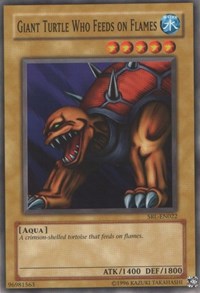 Giant Turtle Who Feeds on Flames #SRL-EN022