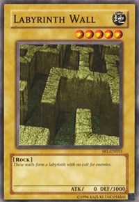 Labyrinth Wall #SRL-EN055