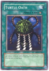 Turtle Oath #SRL-EN066