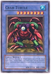 Crab Turtle #SRL-EN069