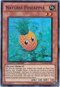 Naturia Pineapple #HASE-EN002