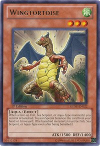 Wingtortoise #GENF-EN022
