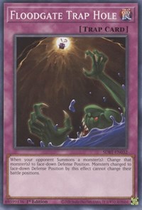 Floodgate Trap Hole #SDBT-EN032