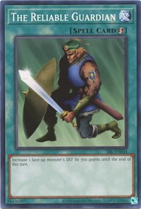 The Reliable Guardian #SRL-EN044