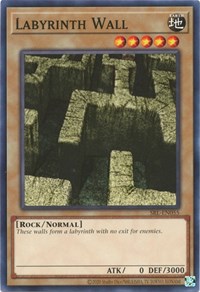 Labyrinth Wall #SRL-EN055