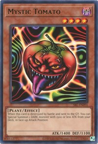 Mystic Tomato #SRL-EN094
