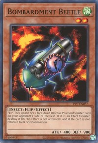 Bombardment Beetle #PSV-EN087
