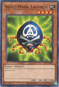 Skull-Mark Ladybug #IOC-EN079