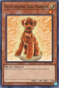 Outstanding Dog Marron #DCR-EN062