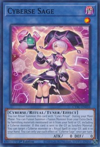 Cyberse Sage #CYAC-EN033