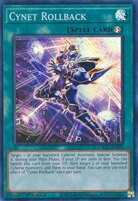 Cynet Rollback #CYAC-EN051