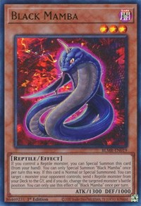 Black Mamba #BLMR-EN019