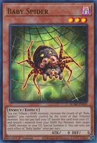 Baby Spider #BLMR-EN045
