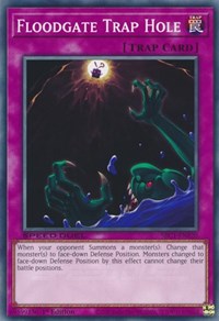 Floodgate Trap Hole #SBC1-ENF20