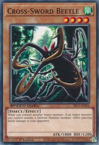Cross-Sword Beetle #SBC1-ENI04