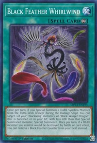 Black Feather Whirlwind #MP23-EN195