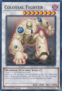 Colossal Fighter #VASM-EN054