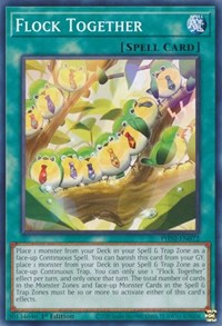 Flock Together #PHNI-EN072