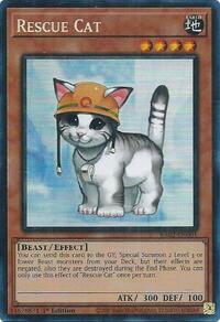 Rescue Cat (PCR) #RA02-EN001