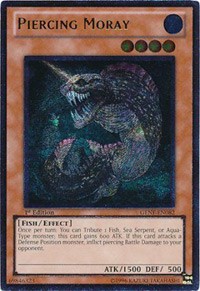 Piercing Moray (UTR) #GENF-EN082