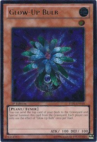 Glow-Up Bulb (UTR) #STBL-EN018