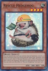 Rescue Hedgehog #ROTA-EN097
