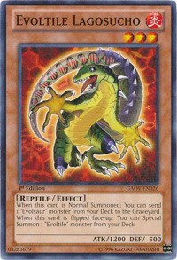 Evoltile Lagosucho #GAOV-EN026