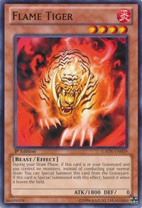 Flame Tiger #GAOV-EN039