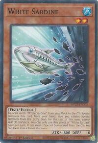 White Sardine #MP25-EN305