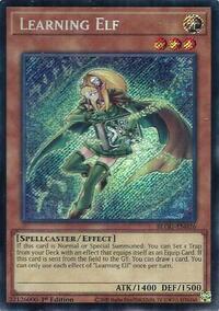 Learning Elf #BLGG-EN026