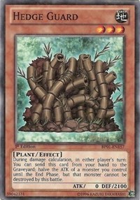Hedge Guard (Starfoil) #BP01-EN157