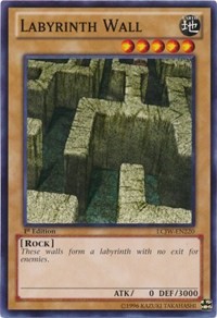 Labyrinth Wall #LCJW-EN220