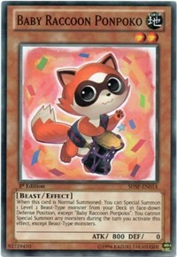 Baby Raccoon Ponpoko #SHSP-EN014