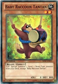Baby Raccoon Tantan #SHSP-EN015