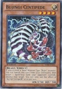 Bujingi Centipede #SHSP-EN026